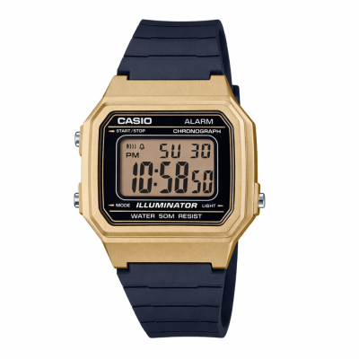 Casio W-217HM-9A