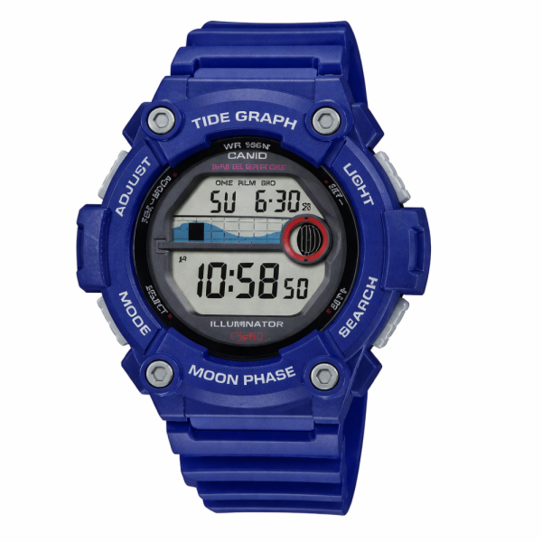 Мужские часы Casio WS-1300H-2A фото 1