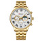 Curren 8427 Gold-White