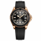 Pagani Design PD-1651 Gold-Black Silicone