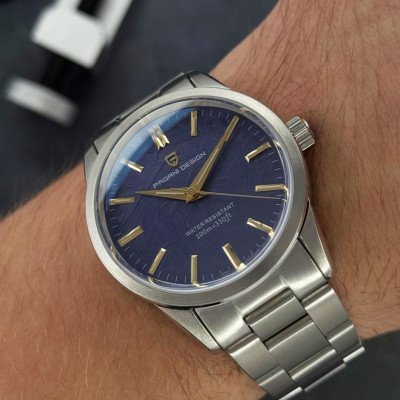 Pagani Design PD-1734 Silver-Blue