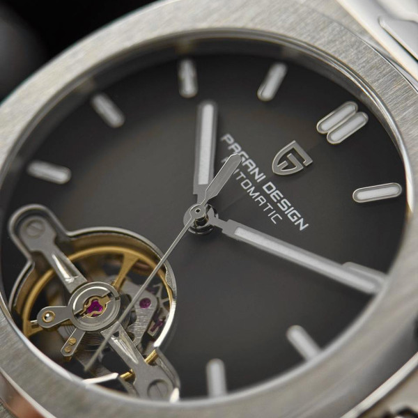 Pagani Design PD-YS025 Silver-Brown фото 7