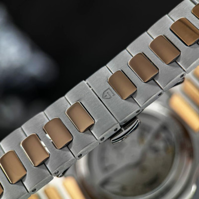 Pagani Design PD-YS025 Silver-Gold-Brown