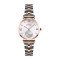 Skmei 9198TRGSI-S Rose Gold-Silver Lady