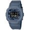 Casio G-SHOCK DW-5600CA-2