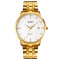 Skmei 1801SGD Gold Stainless Steel