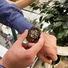 Чоловічий годинник Curren 8336 Gold-Black фото 9
