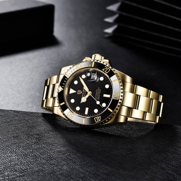 Мужские часы Pagani Design PD-1661 Gold-Black фото 4