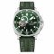 Pagani Design PD-1736 Silver-Green