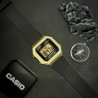 Чоловічий годинник Casio W-217HM-9A