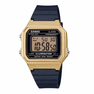 Чоловічий годинник Casio W-217HM-9A