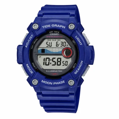 Чоловічий годинник Casio WS-1300H-2A