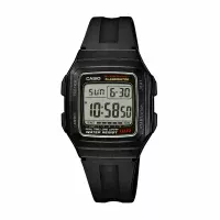 Casio F-201WA-1A