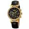 Skmei 2089GDBK Gold-Black