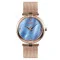 Skmei 9177 Cuprum-Blue