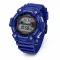 Casio WS-1300H-2A