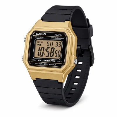 Чоловічий годинник Casio W-217HM-9A