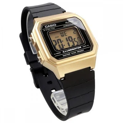 Чоловічий годинник Casio W-217HM-9A