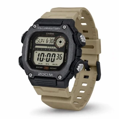 Мужские часы Casio DW-291HX-5A
