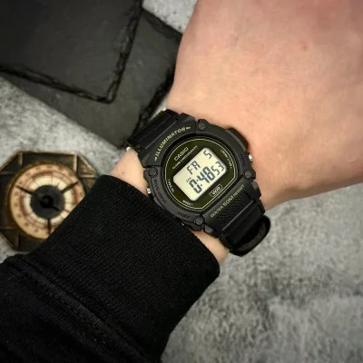 Чоловічий годинник Casio W-219HB-3A