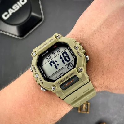 Чоловічий годинник Casio AE-1600H-5A