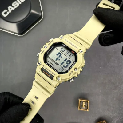 Чоловічий годинник Casio AE-1600H-5A