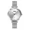 Skmei 1291SI Silver