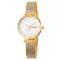 Skmei 1874GD Gold