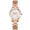 Skmei 1819RGSI Rose Gold-Silver
