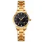 Skmei 1819GDBK Gold-Black