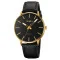 Skmei 2074GDBK Gold-Black