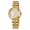 Skmei 1979GD Gold