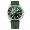 Pagani Design PD-1736 Silver-Green