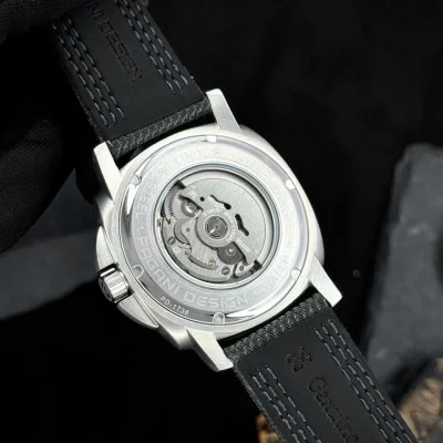 Pagani Design PD-1736 Silver-Green