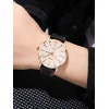 Чоловічий годинник Skmei 9303RGSI Rose Gold-Silver фото 4